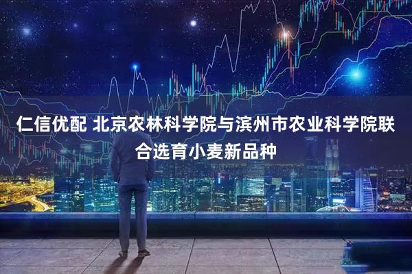 仁信优配 北京农林科学院与滨州市农业科学院联合选育小麦新品种