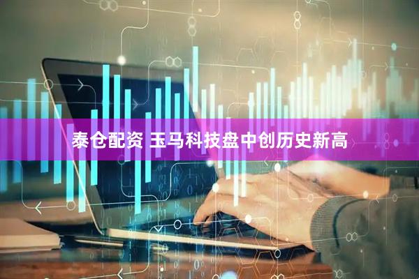 泰仓配资 玉马科技盘中创历史新高
