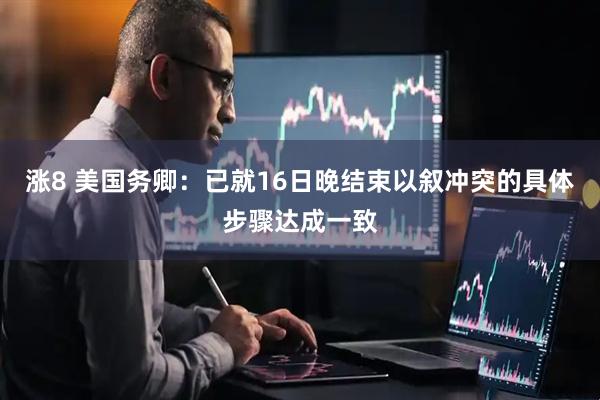 涨8 美国务卿：已就16日晚结束以叙冲突的具体步骤达成一致